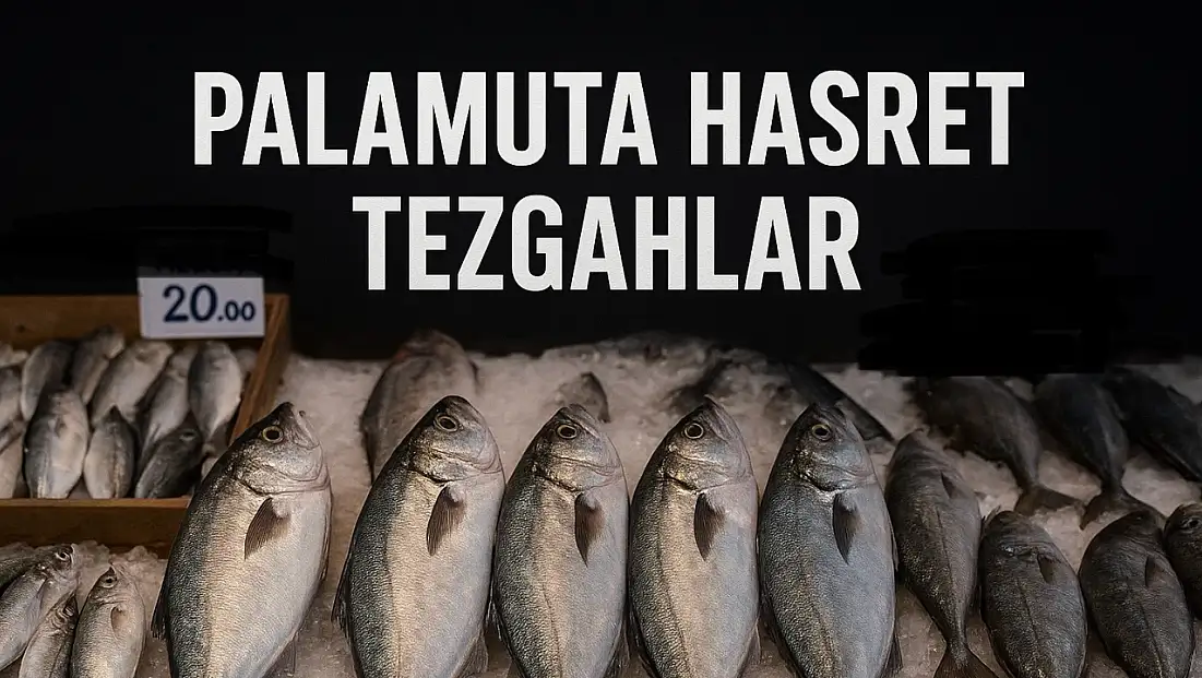 Balıkçıların gözü “kestane karası”nda