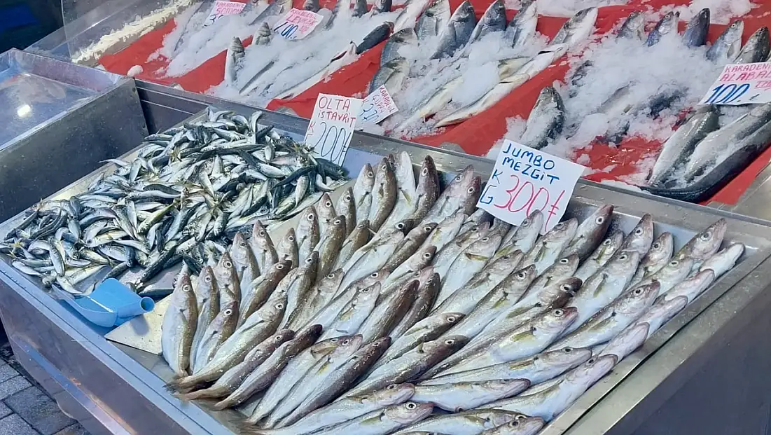 Balıklar oltaya geldi
