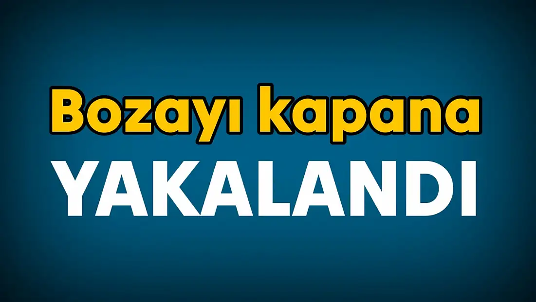 Ekipler seferber oldu