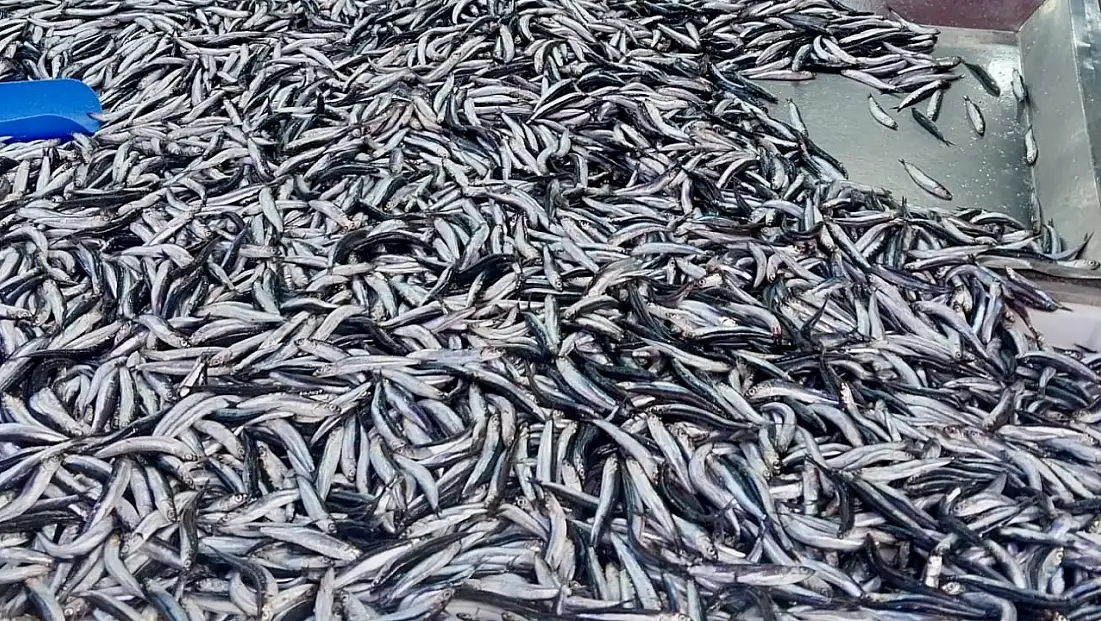 Fiyatlar asansör misali