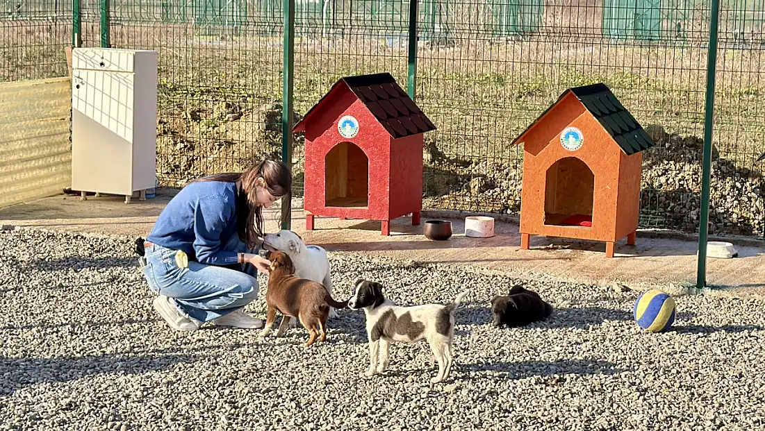 Hayvan Doğal Yaşam Alanı kuruldu