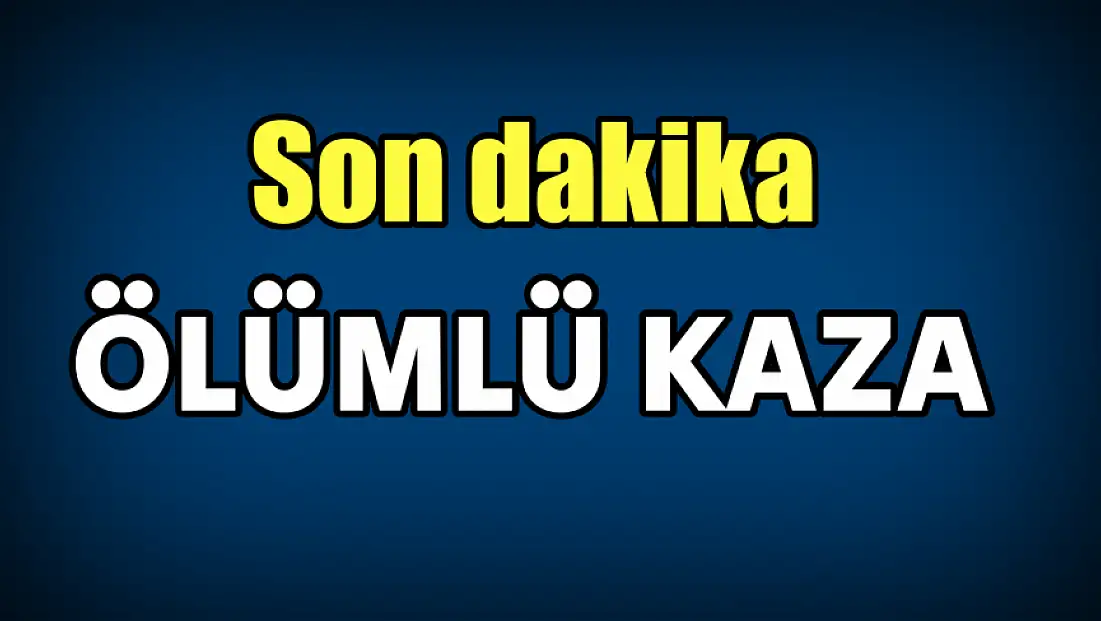 Bartın–Çaycuma Yolunda Tren Kazası
