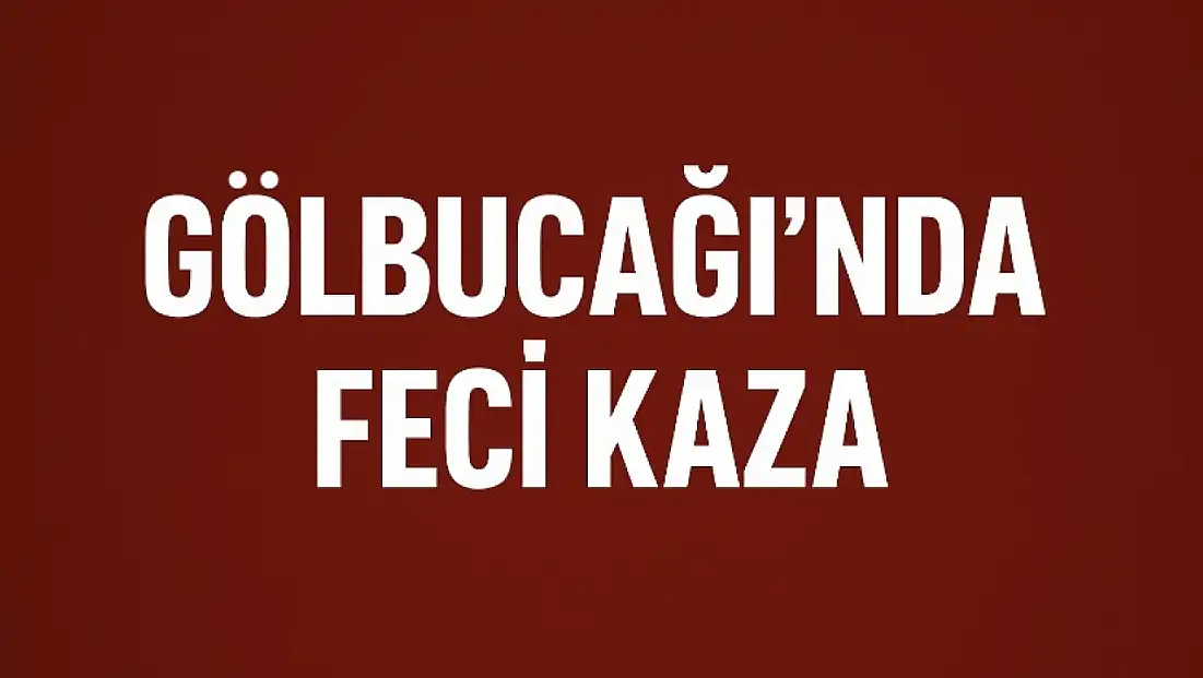 Otomobil tırın altına girdi