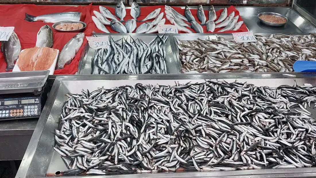 Tezgahın en uygun balığı