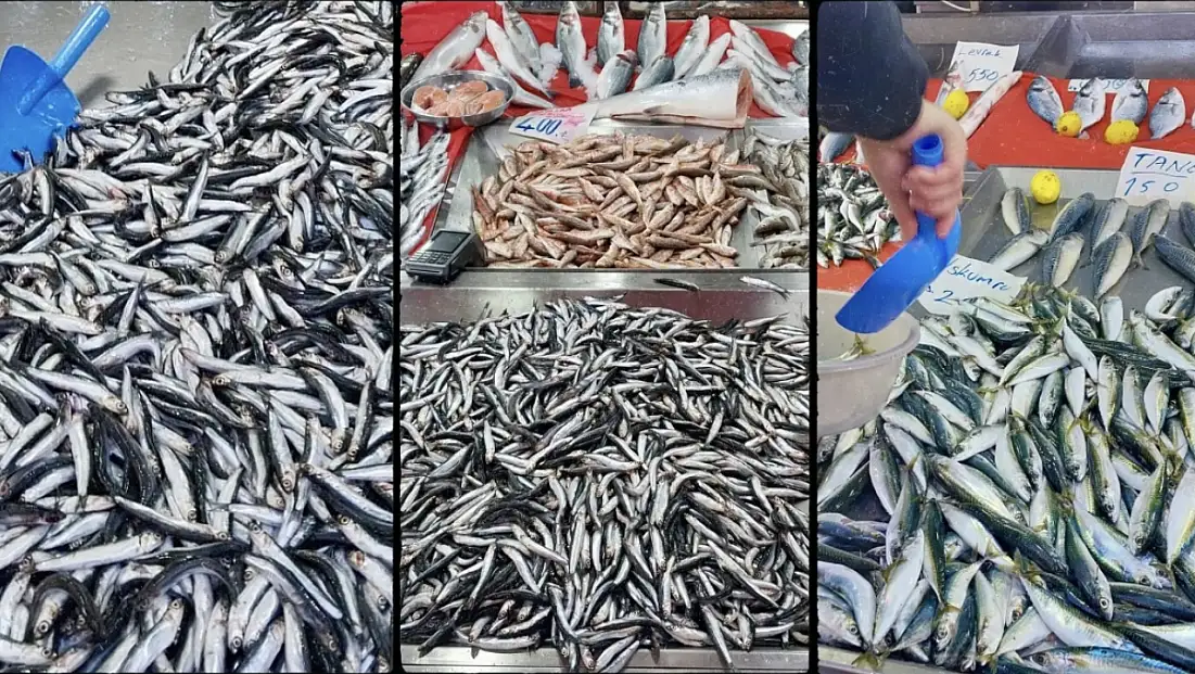 Tezgahlar tekrar şenlendi