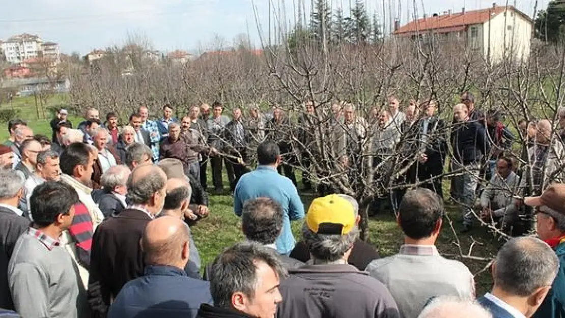 103 çiftçiye budama eğitimi verildi