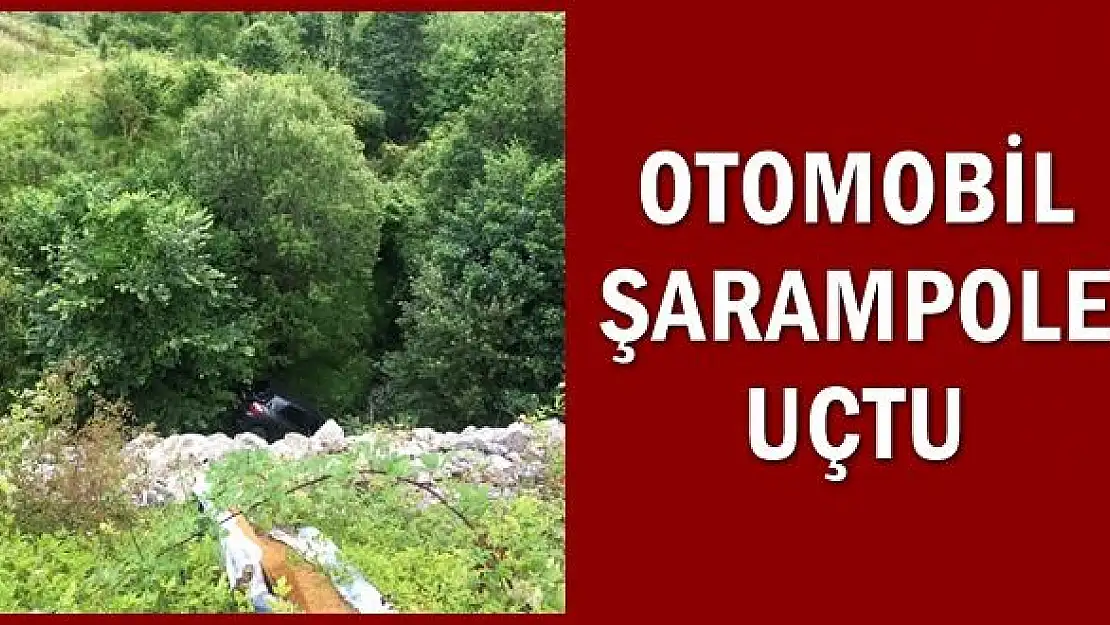 20 metre yükseklikten şarampole uçtu