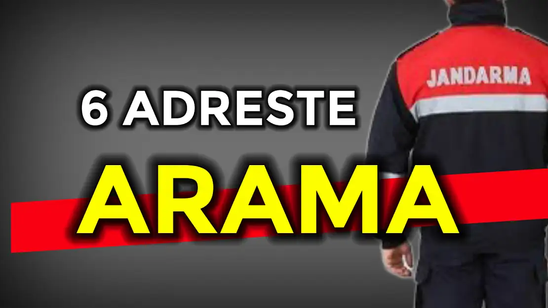 6 adreste eş zamanlı arama