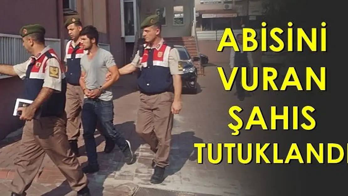 Abisini öldüren şahıs tutuklandı