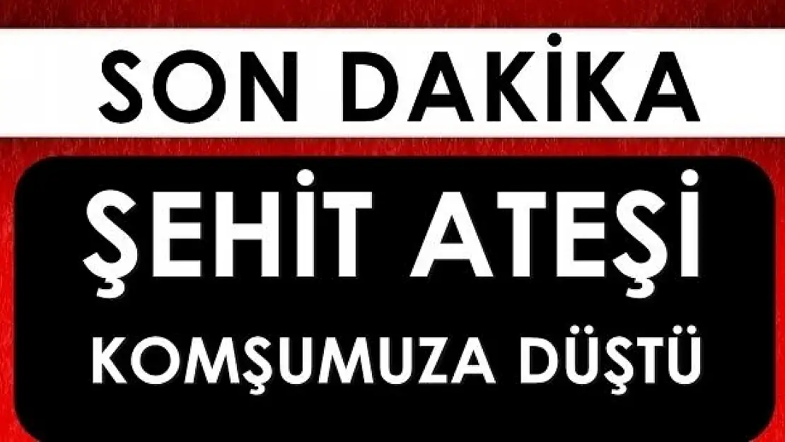 Acı haberi Bartın'da aldılar 