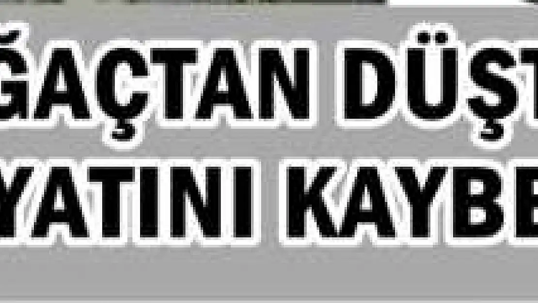 Ağaç Budarken Düşüp Öldü