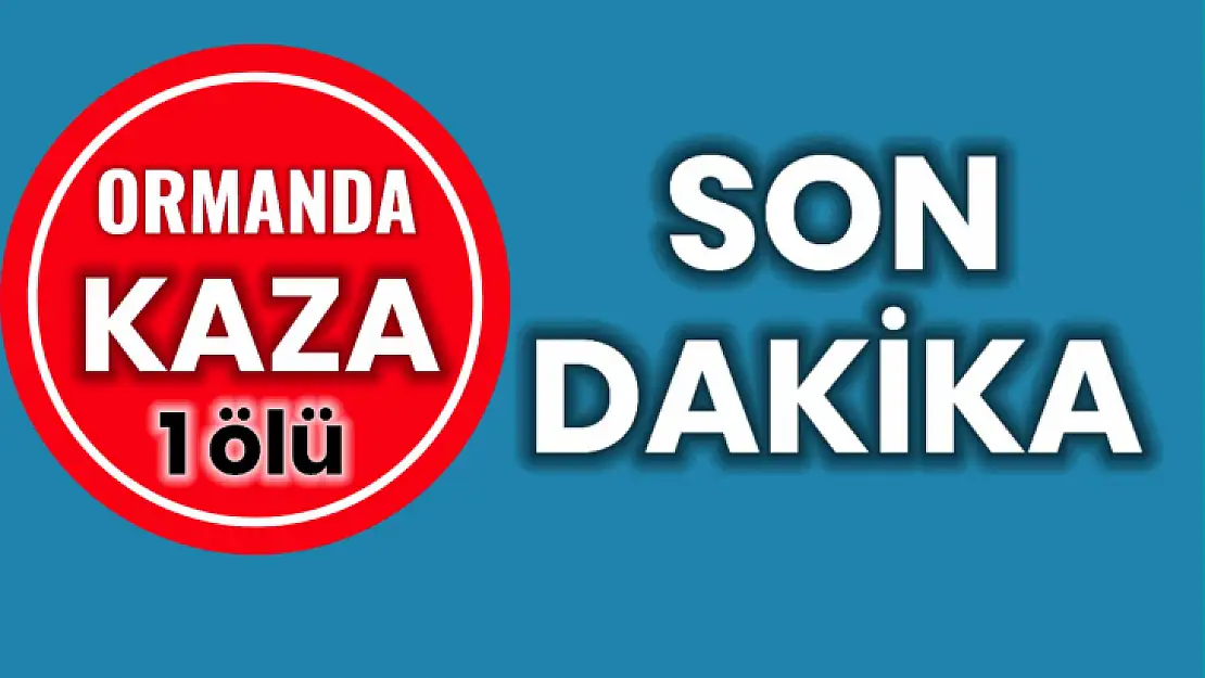 Ağaç keserken canından oldu