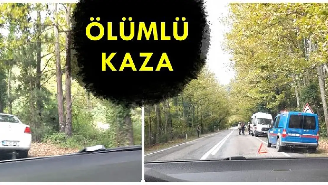 Ağaç tünelinde ölümlü kaza 