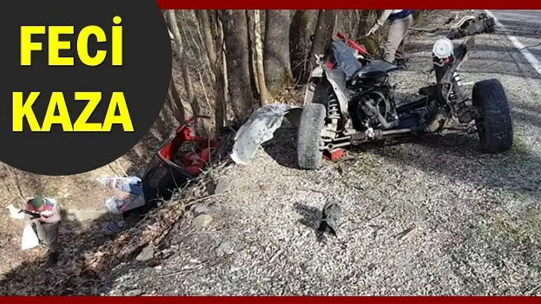 Ağaca çarpan otomobil parçalara ayrıldı