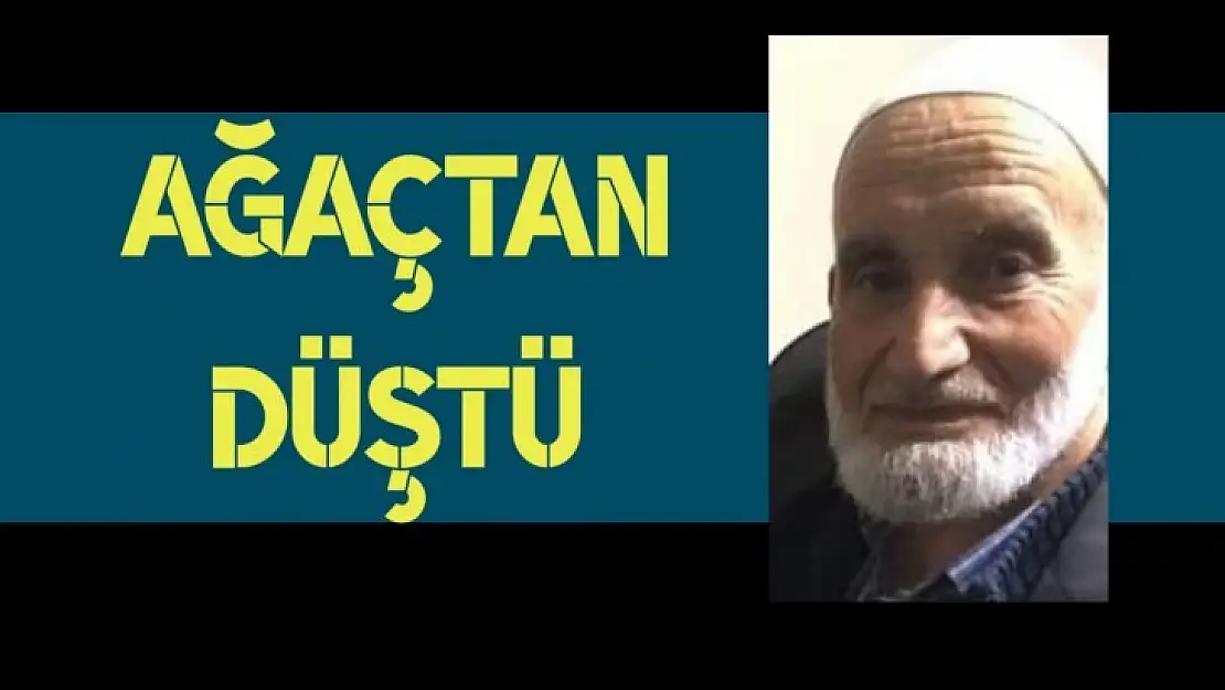 Ağaçtan düşen Ahmet Hoca vefat etti