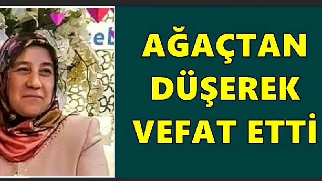 Ağaçtan düşen kadın hayatını kaybetti