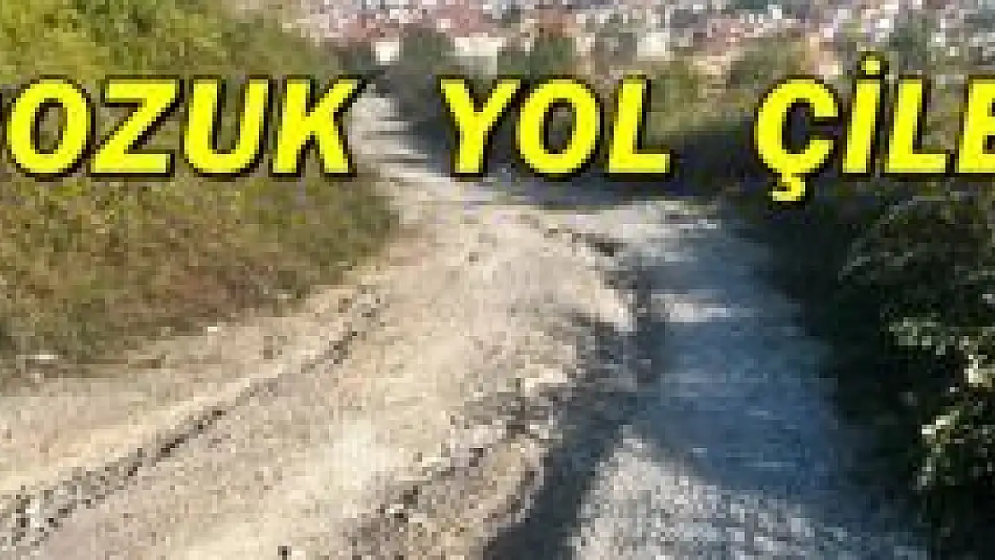 Aladağ'ın tepesinde vatandaş mağdur