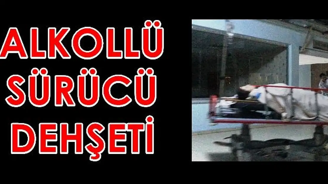 Alkollü Sürücü Park Halindeki Otomobile Çarptı, 2 Yaralı