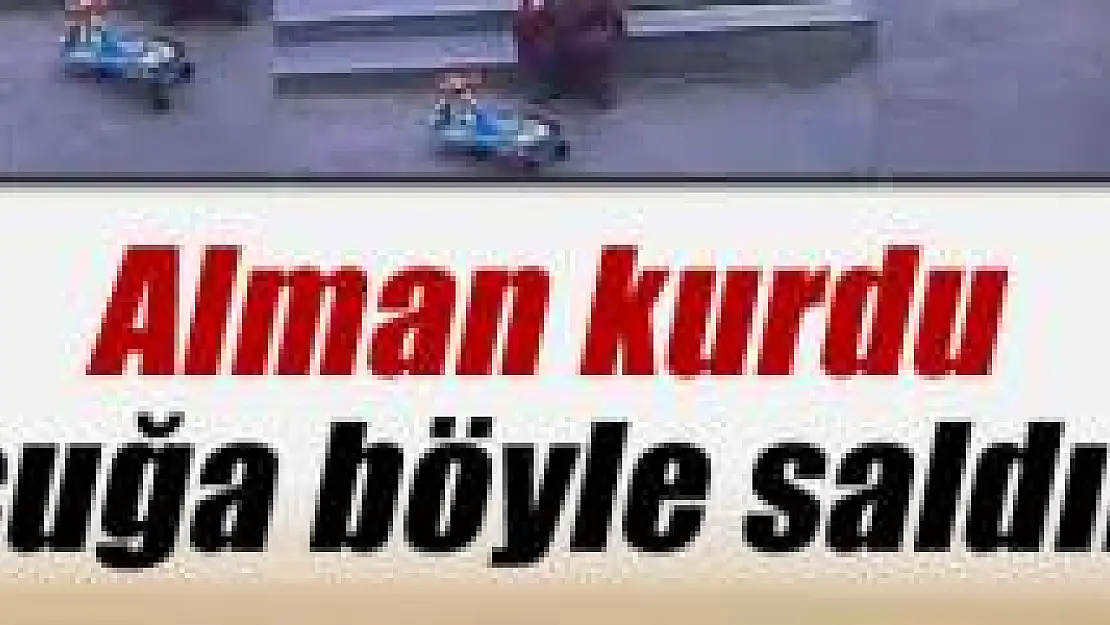 Alman kurdu çocuğa böyle saldırdı