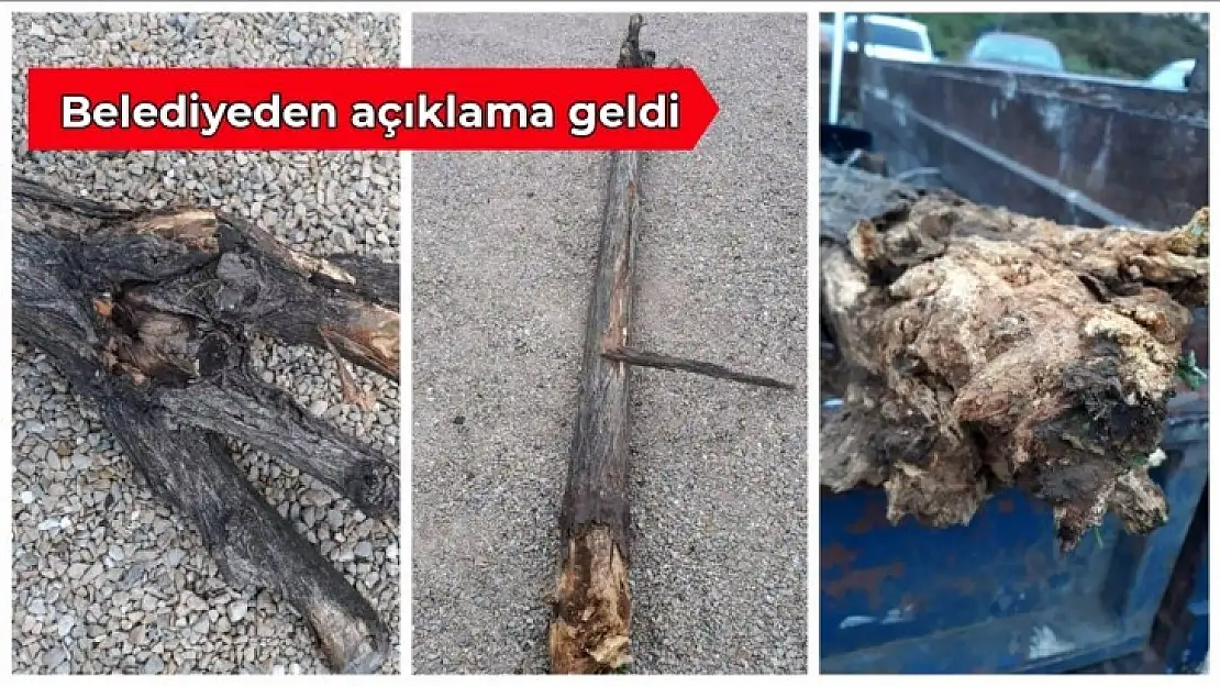 Amasra Belediyesi açıklama yaptı