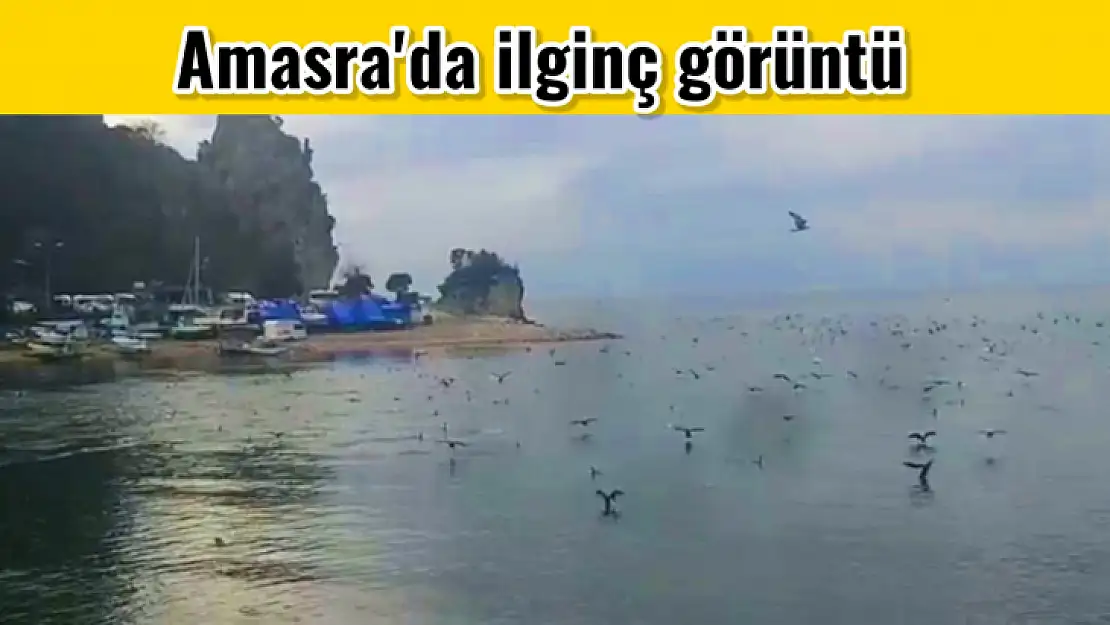 Amasra'da ilginç dakikalar