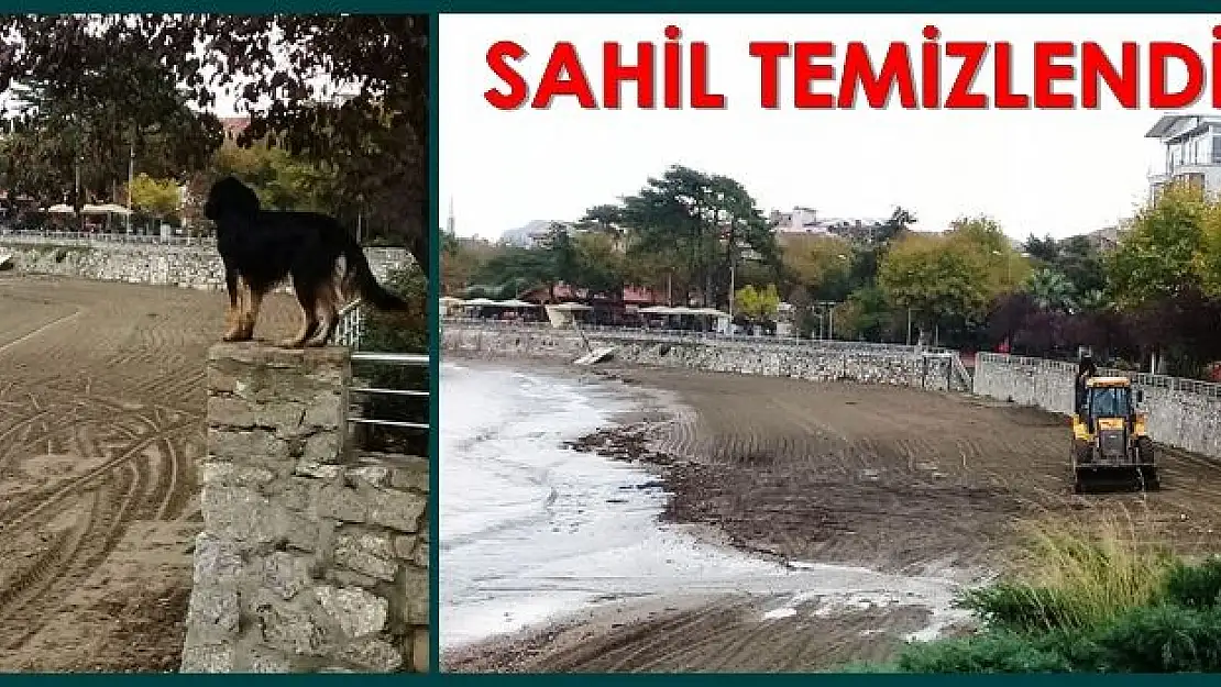 Amasra sahili çöpten temizlendi