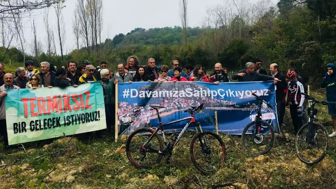 Amasraya Termik Değil Zeytin Dikmeliyiz
