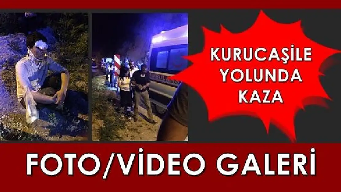 Araç şarampole yuvarlandı, 4 yaralı