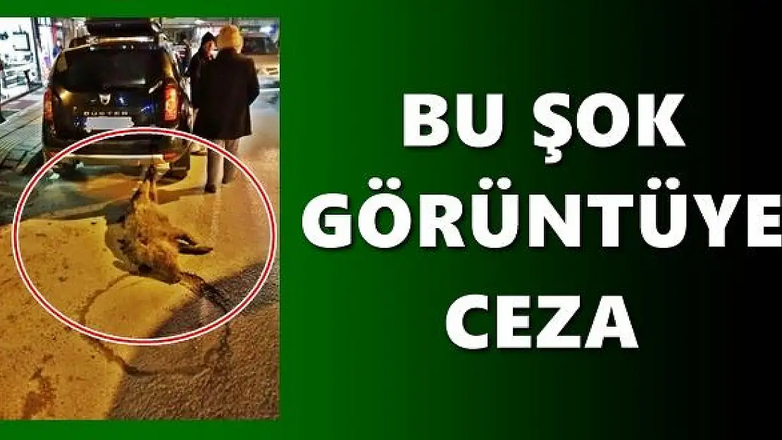Aracın arkasına bağlayıp sürüklediler