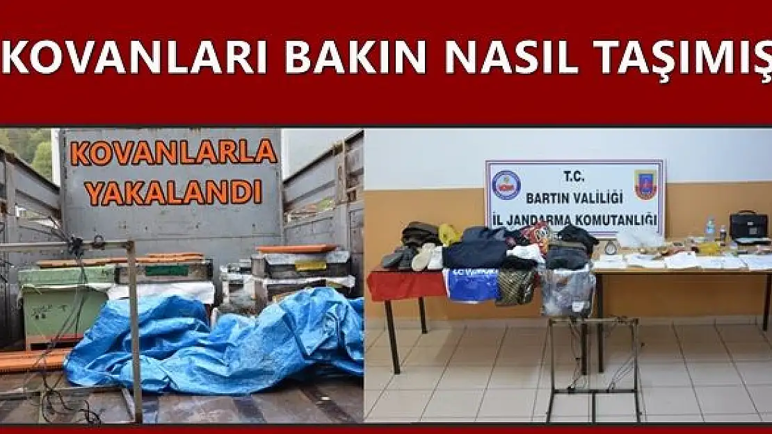 Arı kovanı hırsızı kıskıvrak yakalandı
