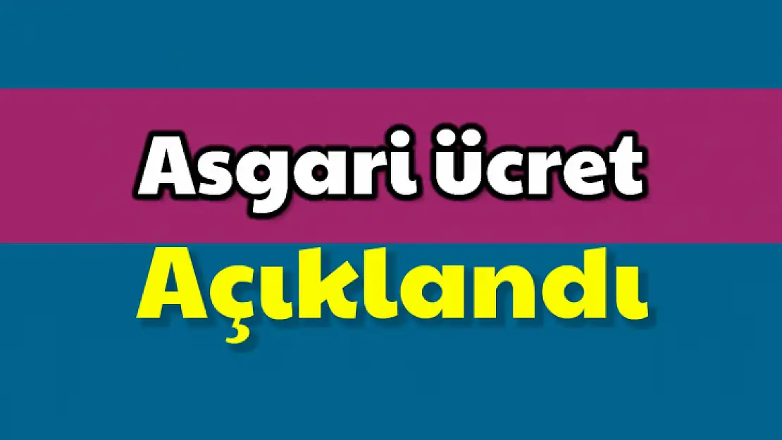Asgari ücret belli oldu