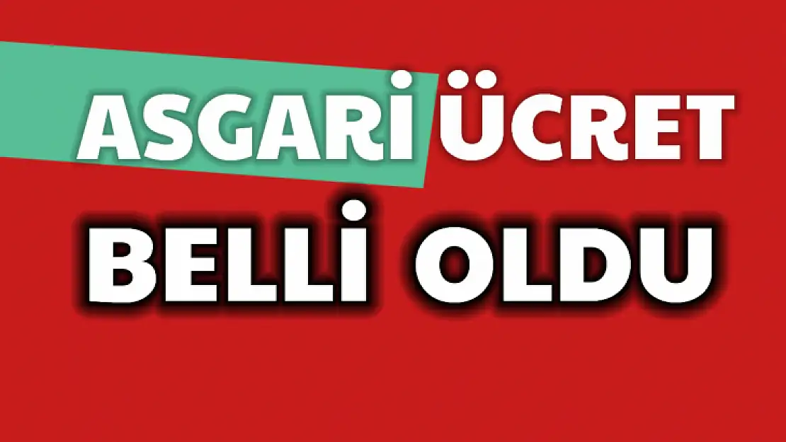 Asgari ücret belli oldu