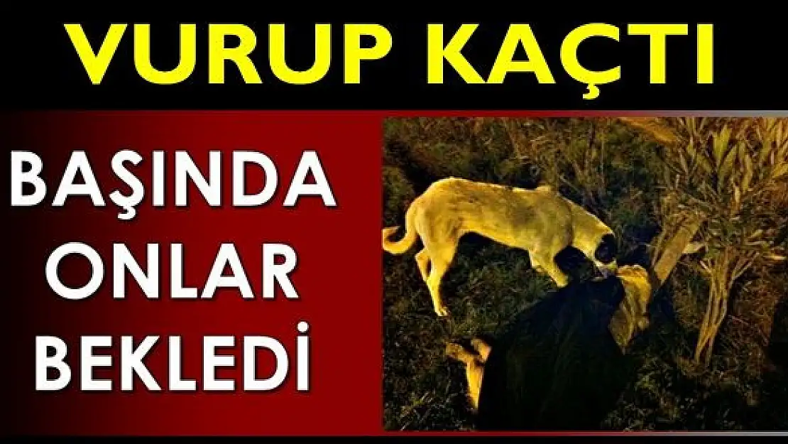 Aşırı hız yüzünden masum bir can gitti