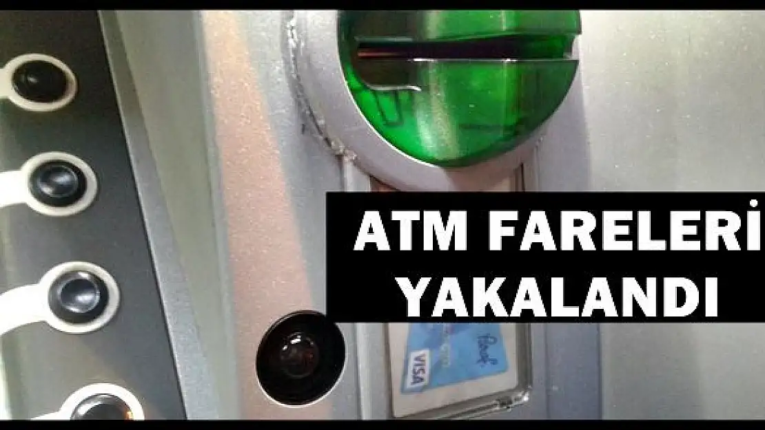 ATM fareleri kıskıvrak yakalandı