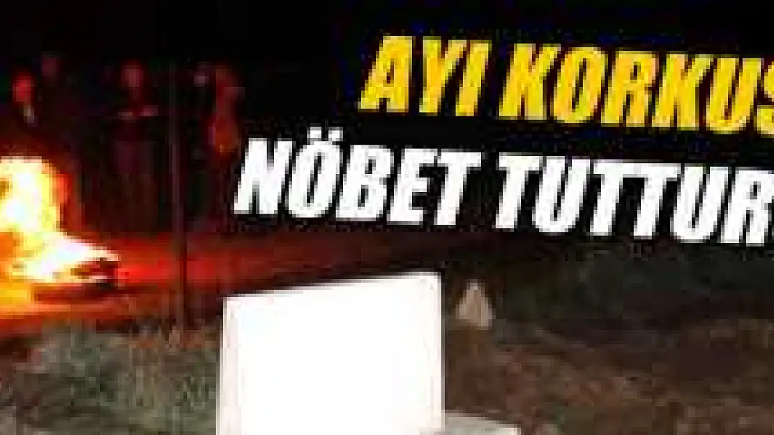 Ayı korkusu mezarlıkta nöbet tutturuyor