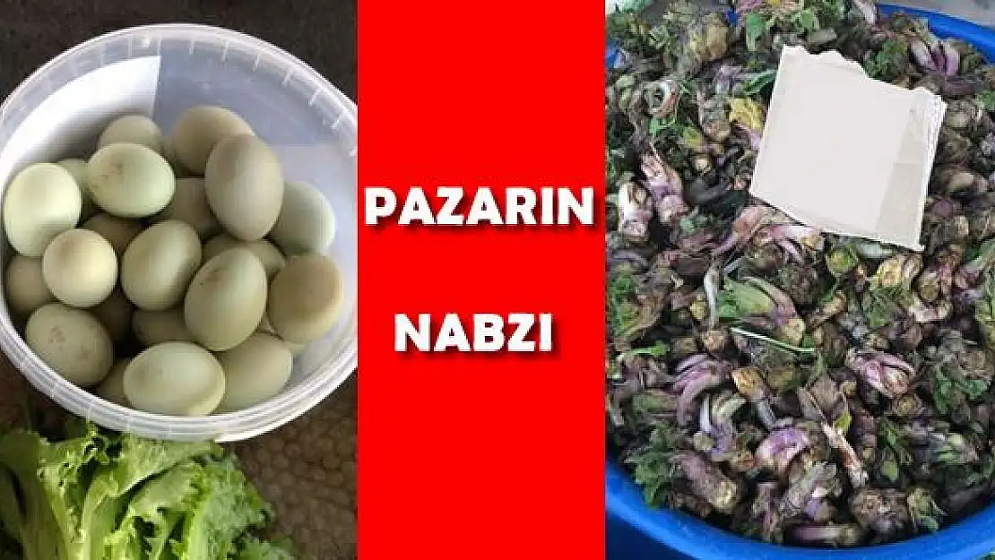Baharın müjdecisi Ispıt tezgâhlarda