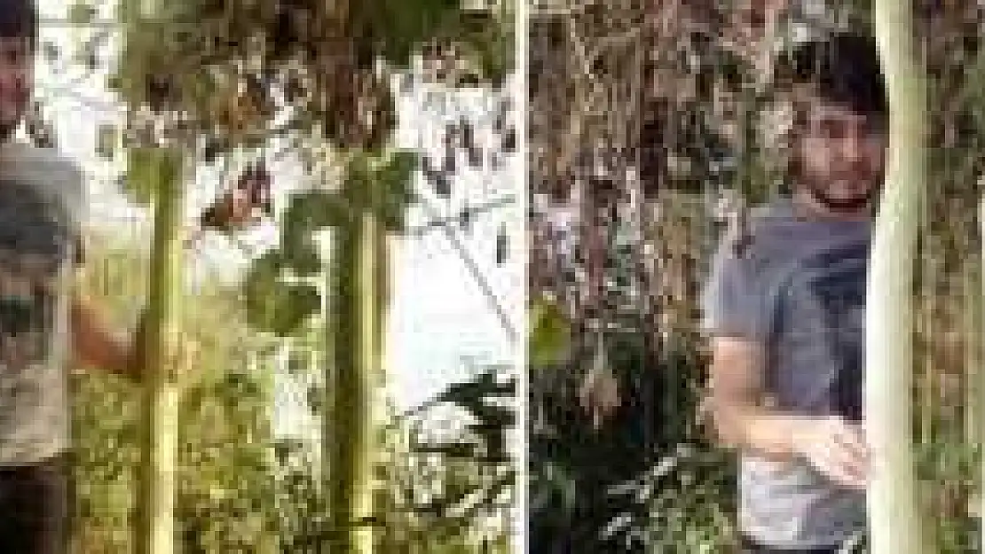 Bahçesinde 2 Metre Boyunda Kabak Yetiştirdi