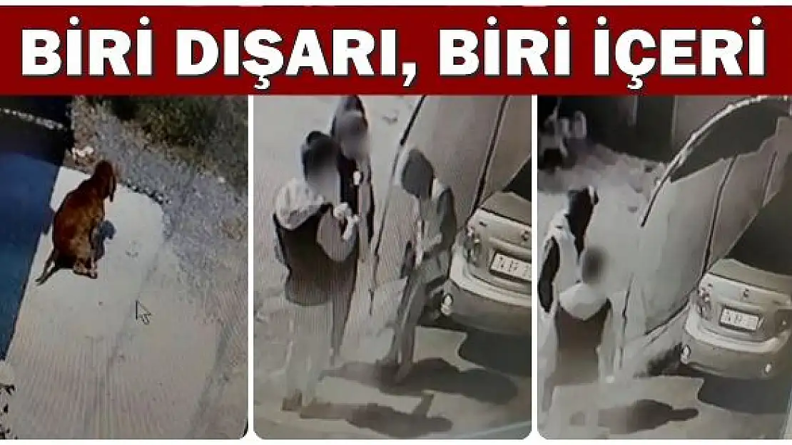 Bakın ne yaparken yakalandılar!