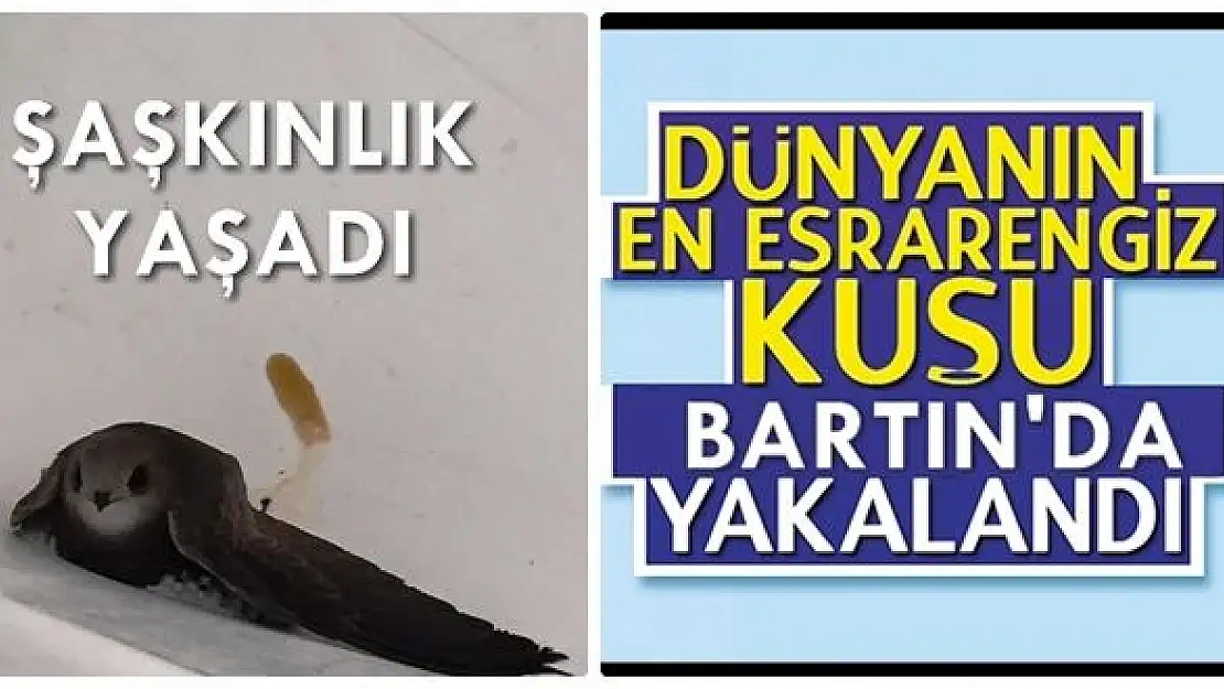 Bakın nerede buldu