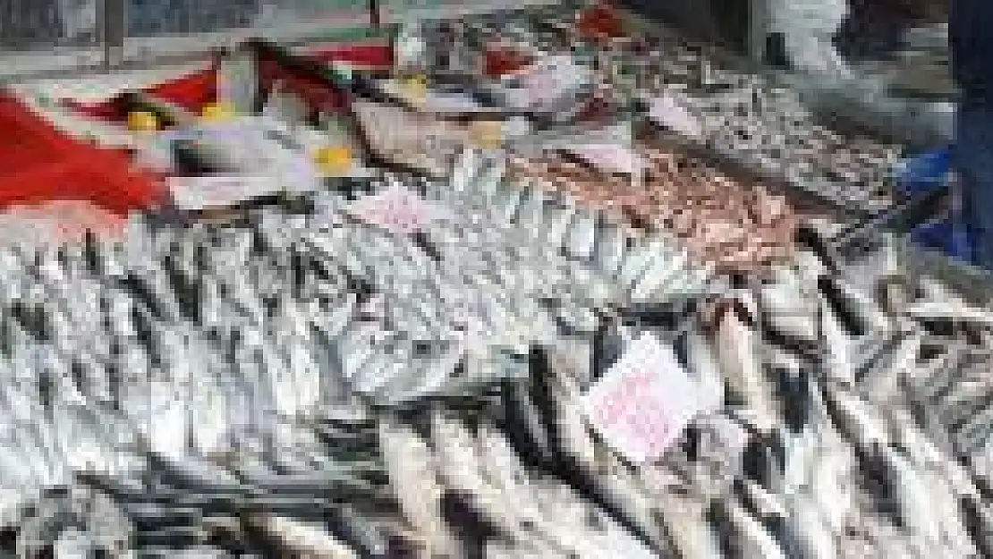 Balık fiyatları el yakıyor