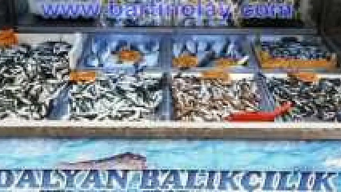 BALIK SEZONU AÇILDI, İŞTE TEZGAHTAKİ FİYATLAR