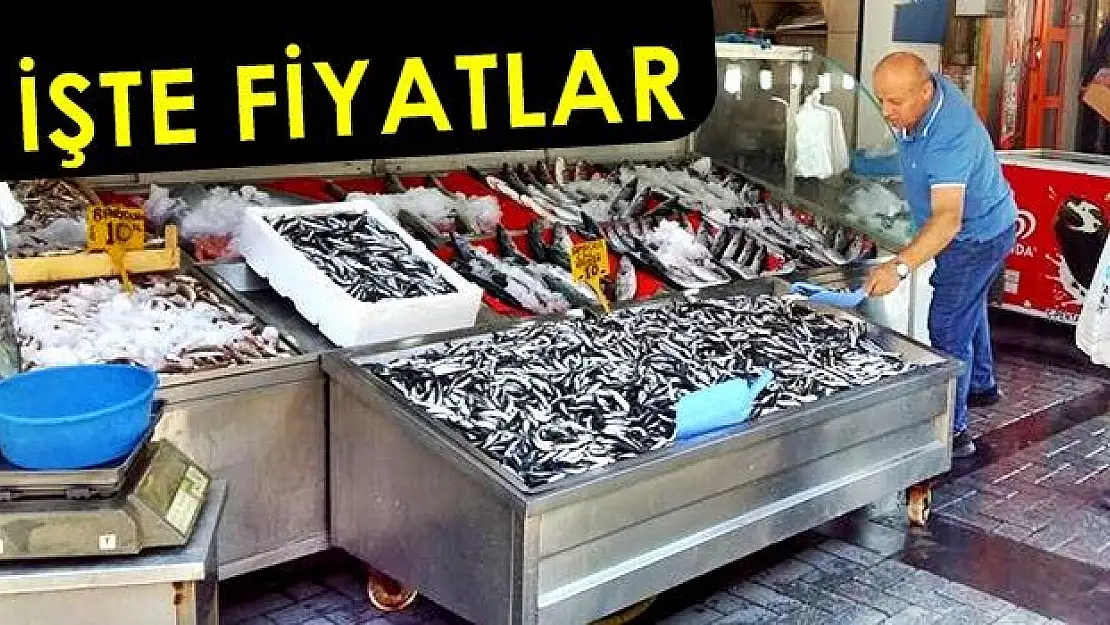 Balık Sezonu Açıldı, Tezgahlar Şenlendi