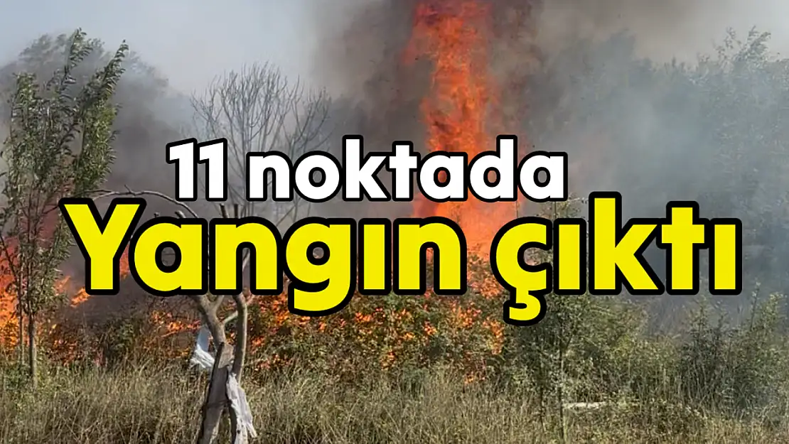 Bartın'da 11 Farklı Noktada Yangın!