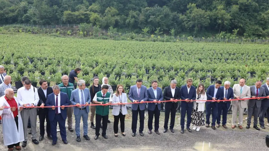 Bartın'da aromatik bitki bahçesi kuruldu