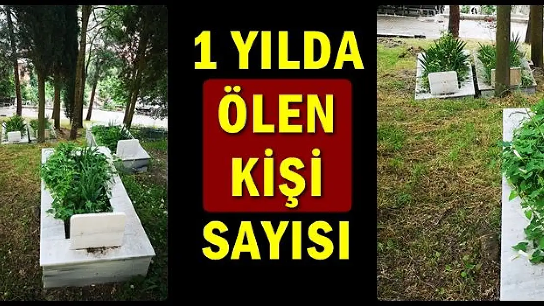 Bartın'da bir yılda kaç kişi rahmetli oldu