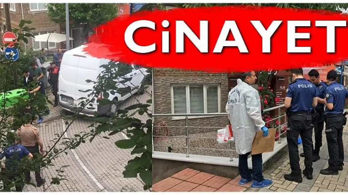Bartın'da cinayet, annesini bıçakladı