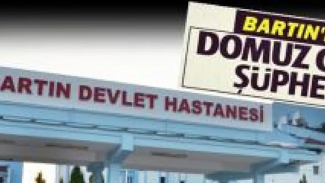 Bartın'da domuz gribi şüphesi!