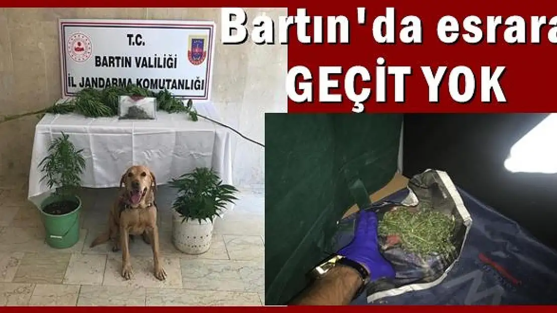 Bartın'da esrara geçit yok