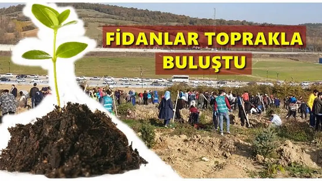 Bartın'da Geleceğe Nefes için fidan dikildi