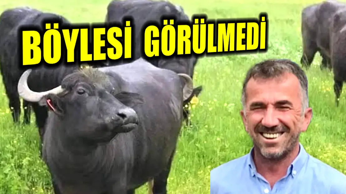 Bartın'da görülmemiş olay